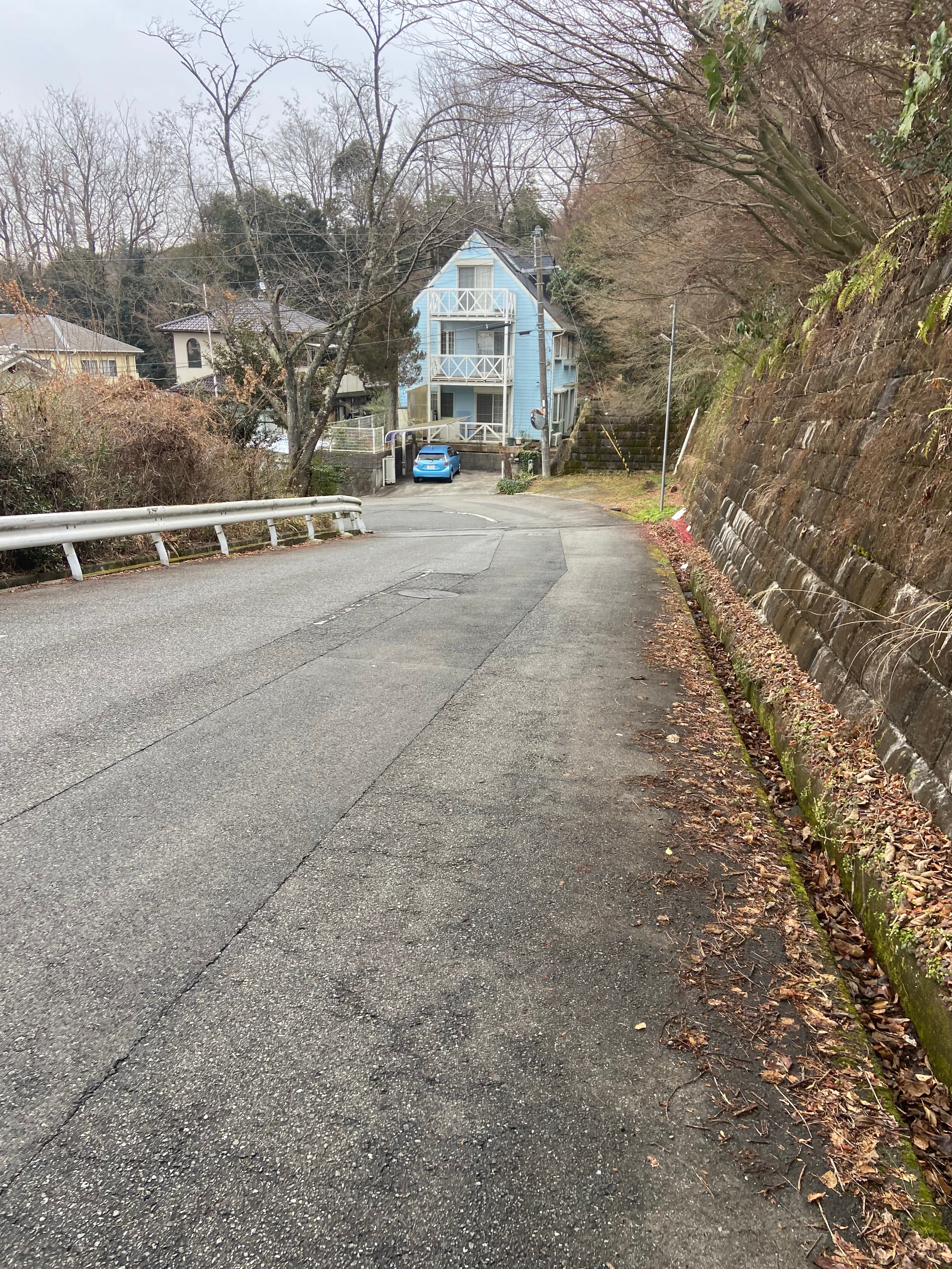 Residential street in Japan where Kim grew up